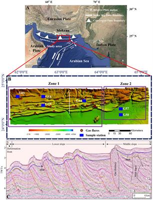 Assessing biogeochemical controls on porewater dissolved inorganic carbon cycling in the gas hydrate-bearing sediments of the Makran accretionary wedge, Northeastern Arabian Sea off Pakistan